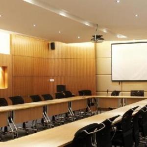 模擬會議系統(tǒng)固有的問題