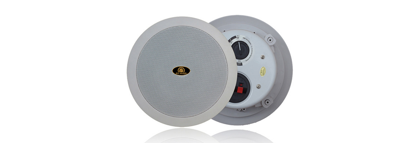 帶后罩功率可調(diào)同軸吸頂音箱RH-THS51/RH-THS61/RH-THS81